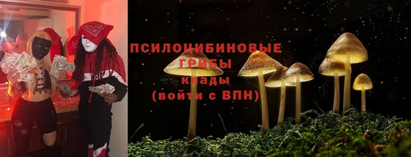 бутират Покачи