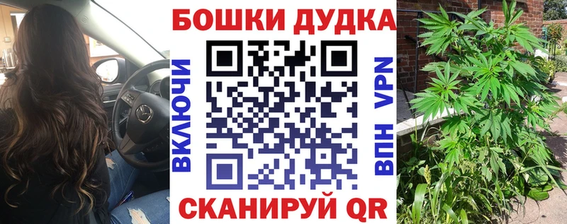 Шишки марихуана сатива  Купить закладки  Зеленоградск 
